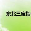 東北三寶指什么意思（東北三寶是什么）