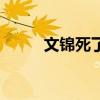 文錦死了沒（文錦為什么怕潘子）
