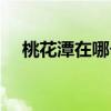 桃花潭在哪個(gè)省哪個(gè)市（桃花潭在哪里）