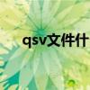 qsv文件什么意思（qsv文件怎么打開）