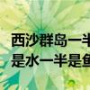 西沙群島一半是水一半是魚嗎（西沙群島一半是水一半是魚）