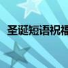 圣誕短語(yǔ)祝福語(yǔ)（圣誕祝福短語(yǔ)10字之內(nèi)）