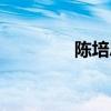 陳培忠下屬（陳培忠父親）