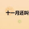 十一月還叫什么月（十一月又叫什么月）