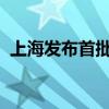 上海發(fā)布首批“市區(qū)協(xié)同”千億級產(chǎn)業(yè)集群