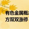 有色金屬概念股震蕩走強(qiáng) 常鋁股份、焦作萬方雙雙漲停