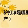 驢打滾是哪里的特產(chǎn)水果（驢打滾是哪里的特產(chǎn)）