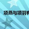 項(xiàng)燕與項(xiàng)羽有關(guān)系嗎（項(xiàng)燕與項(xiàng)羽的關(guān)系）