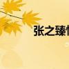張之臻惜敗無緣ATP巡回賽首冠