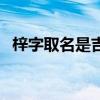 梓字取名是吉還是兇（梓在名字里的寓意）