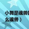 小舞是魂獸的身份是怎么公布的?（小舞是什么魂獸）
