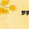 羅素2000指數(shù)上漲1.1%
