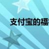 支付寶的福字去哪里掃（支付寶的福字）