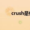 crush是什么梗（太頂了是什么梗）