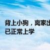 背上小狗，離家出走！泉州12歲男孩負(fù)氣離家6小時，家長：已正常上學(xué)