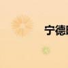 寧德時(shí)代成交額達(dá)100億元