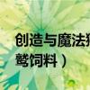 創(chuàng)造與魔法獅鷲飼料是什么?（創(chuàng)造與魔法獅鷲飼料）