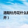 洛陽牡丹花什么時候開門票多少錢（洛陽的牡丹花什么時候開）