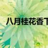八月桂花香下一句（桂花飄香是什么季節(jié)）