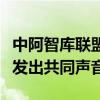 中阿智庫(kù)聯(lián)盟首次會(huì)議舉行，就巴勒斯坦問(wèn)題發(fā)出共同聲音