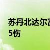 蘇丹北達爾富爾州首府一市場遭炮擊 致8死95傷