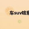 車suv啥意思（汽車suv是什么意思）
