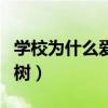 學(xué)校為什么愛種石楠花（學(xué)校為什么要種石楠樹）