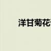 洋甘菊花語文案短句（洋甘菊花語）