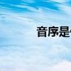 音序是什么意思一年級（音序）