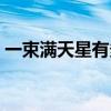 一束滿天星有多重（一束滿天星大概多少錢）