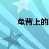 龜背上的藤壺是什么（藤壺是什么）