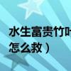 水生富貴竹葉子發(fā)黃怎么救（富貴竹葉子發(fā)黃怎么救）