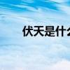 伏天是什么時候?（伏天是什么時候）