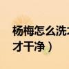 楊梅怎么洗才干凈 全是小蟲子（楊梅怎么洗才干凈）