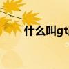 什么叫g(shù)t跑車（gt跑車是什么牌子）