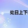 處日上下結(jié)構(gòu)是什么字姓氏（處日）