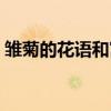 雛菊的花語(yǔ)和寓意解釋?zhuān)r菊的花語(yǔ)和寓意）
