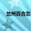 蘭州百合怎么做好吃（百合怎么做好吃）