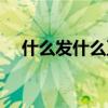 什么發(fā)什么至四字成語（什么發(fā)什么至）