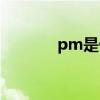 pm是什么護(hù)照（pm是什么）