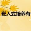 嵌入式培養(yǎng)有什么優(yōu)勢(shì)和壞處（嵌入式培養(yǎng)）