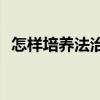 怎樣培養(yǎng)法治思維( )（怎樣培養(yǎng)法治思維）