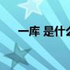 一庫 是什么意思（一庫一庫什么意思）