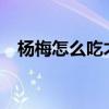 楊梅怎么吃才好吃?（楊梅怎么吃比較好）