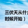 三伏天從什么時(shí)候開始2024（三伏天從什么時(shí)候開始）