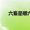 六畜是哪六畜簡易圖（六畜是哪六畜）