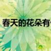 春天的花朵有什么花（春天開(kāi)的花有什么花）