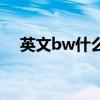 英文bw什么意思（bw是什么意思縮寫(xiě)）