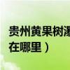 貴州黃果樹瀑布在貴州哪里（貴州黃果樹瀑布在哪里）