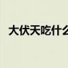 大伏天吃什么補(bǔ)身體竅門（大伏天吃什么）